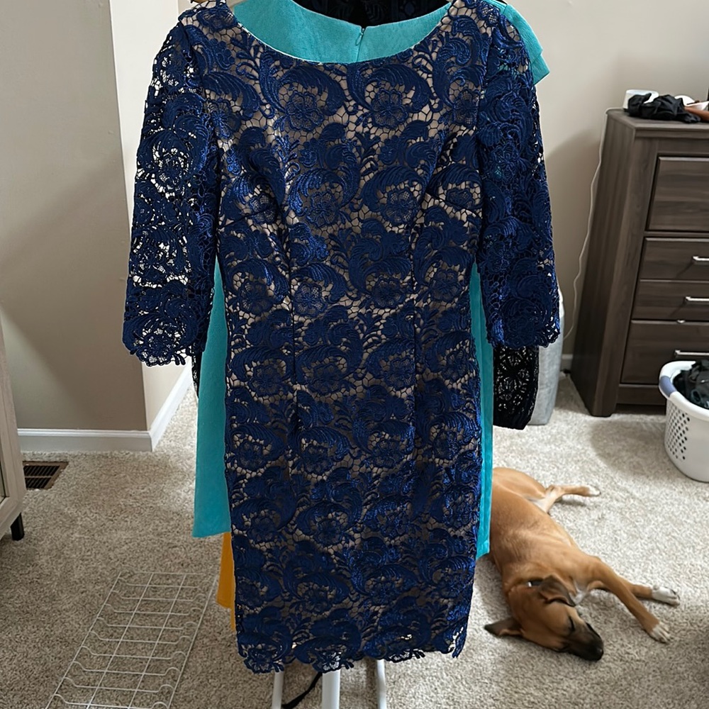 Eliza B Semi Formal dress - size 2
